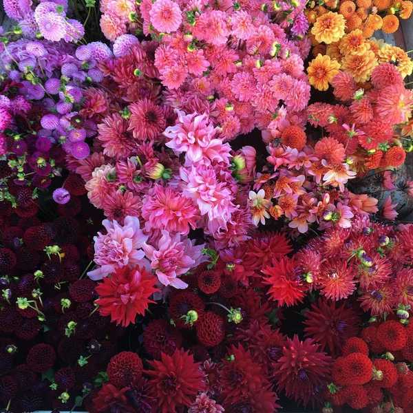 45 Things That Will Instantly Bring You Happiness