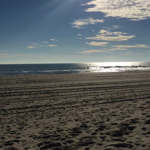 Why You Should Leave Home For College