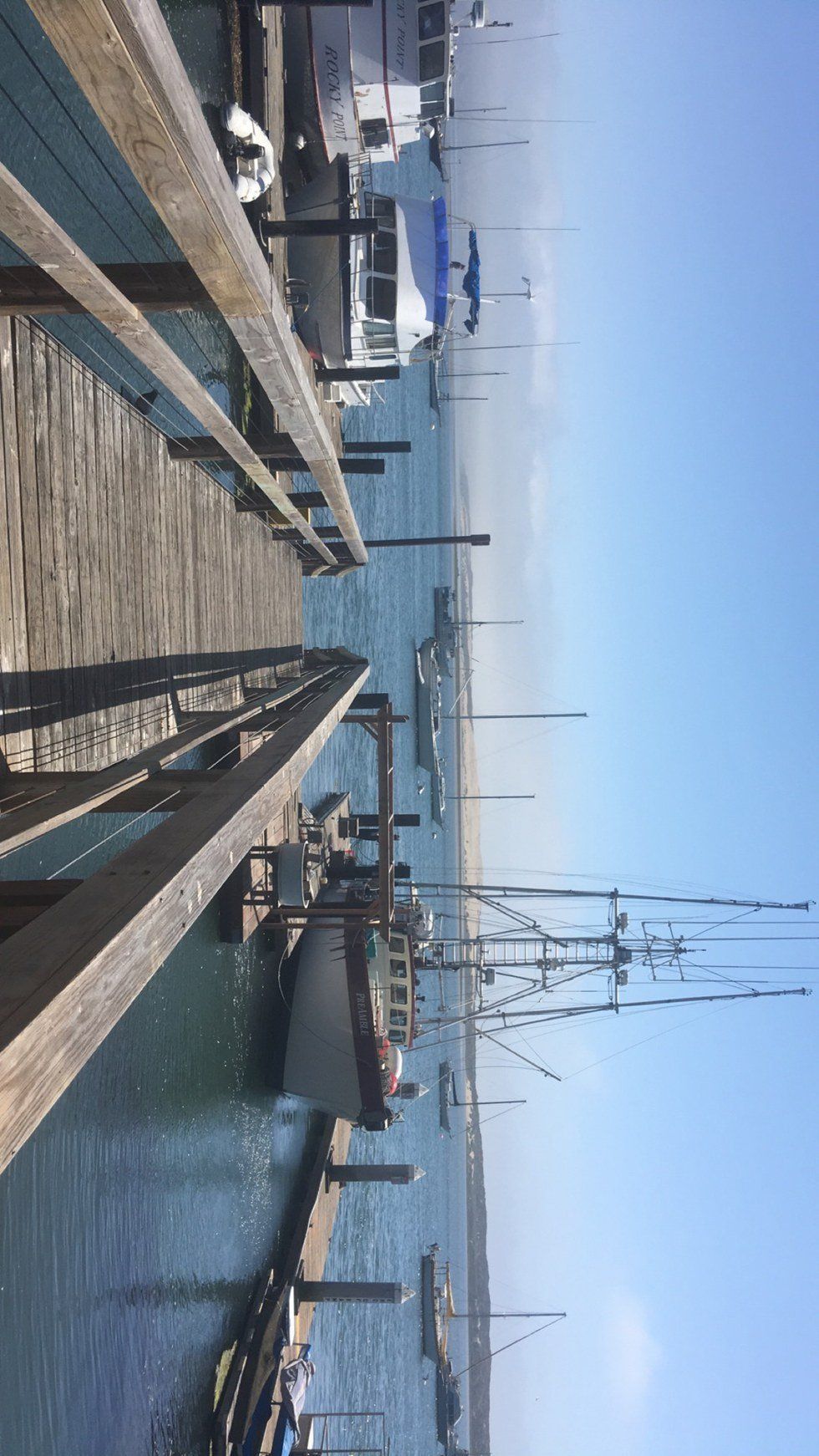 Learning How To Let Go