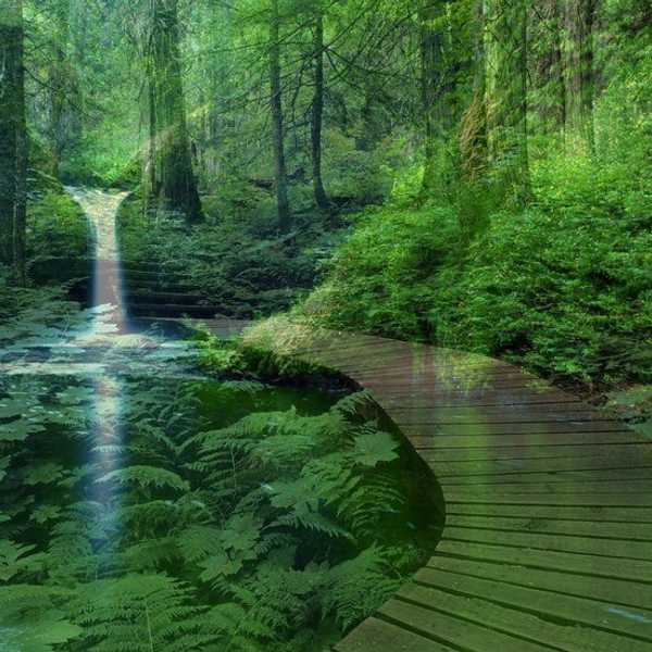 Why Having A Positive Mindset Is What You Need