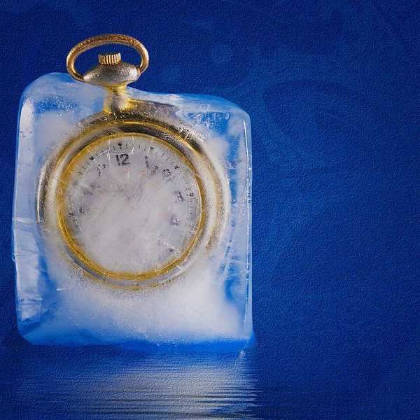 What If Time Stood Still?