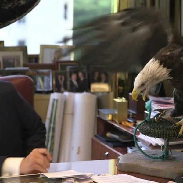 The Social Desirability Bias And Why Donald Trump Could Actually Win