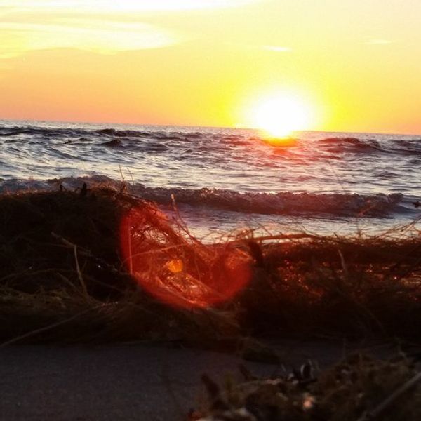 How I'm Deviating From The "Camp Atmosphere"