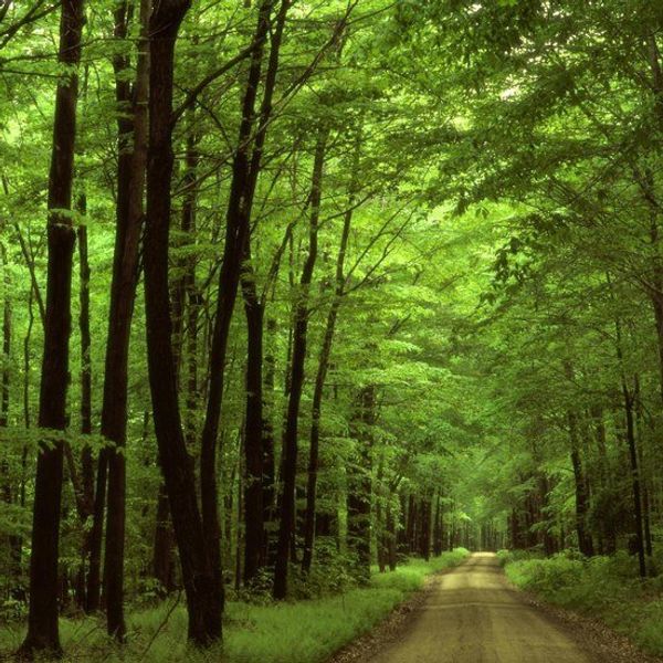 Stop Ignoring the Environment