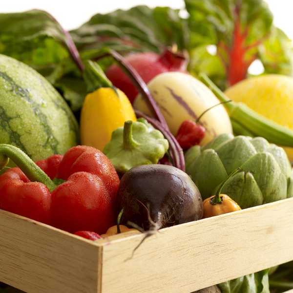 Micronutrients Have Macro Importance