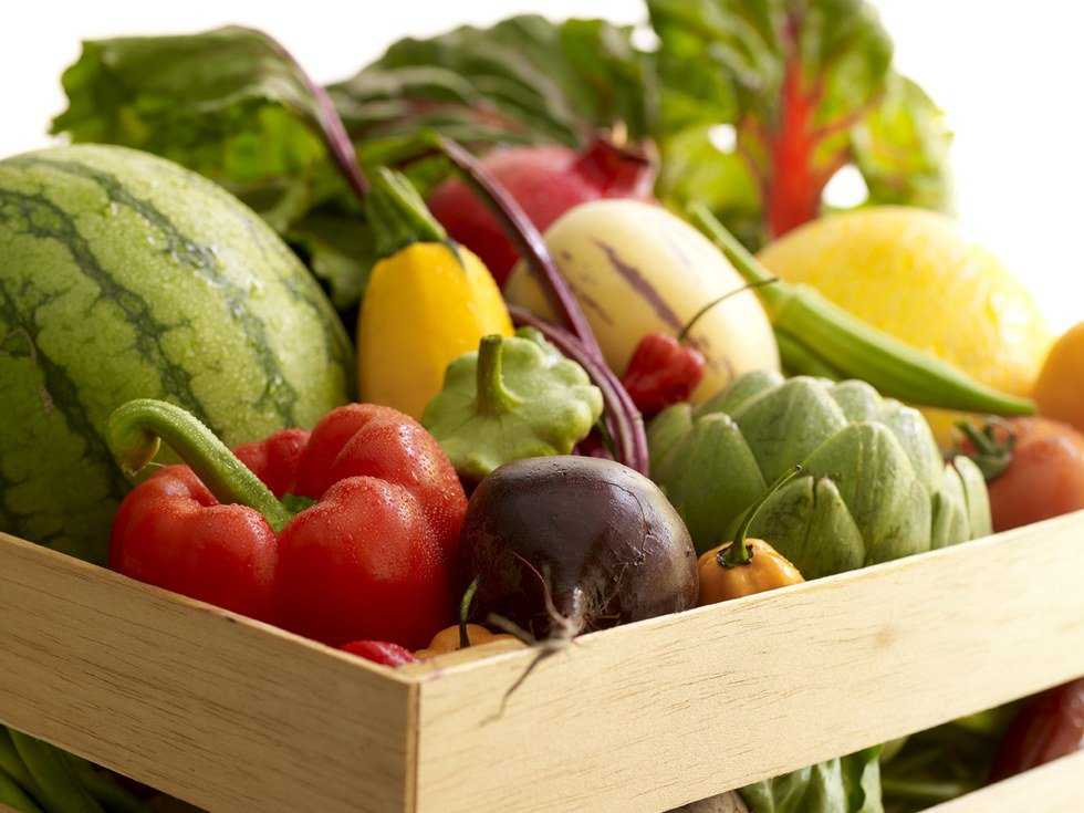Micronutrients Have Macro Importance