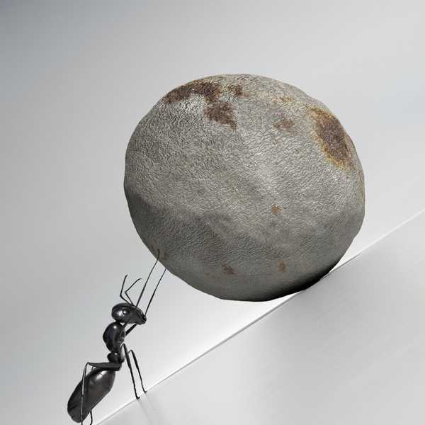 I Can. I Will. End Of Story.