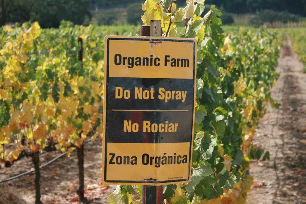 Living Next To Insecticides