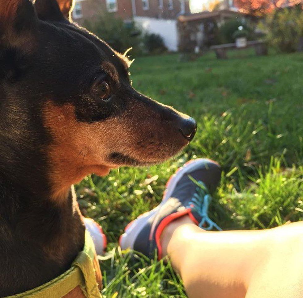 A Thank You Letter To My First Dog