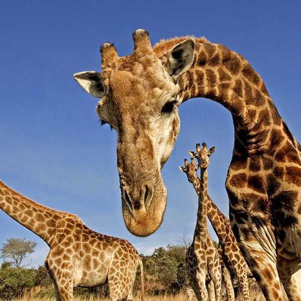 13 Things That Happen When You're Tall