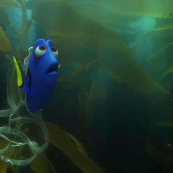 "Finding Dory" Exposes The Reality Of Pollution In The Ocean