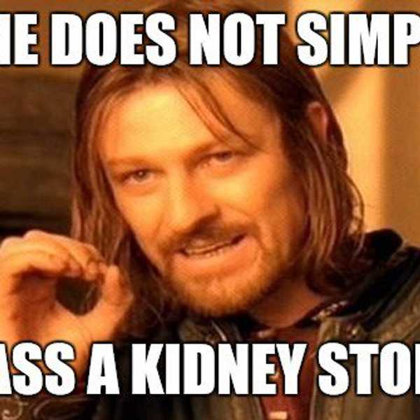 What Is Means To Have Chronic Kidney Stones