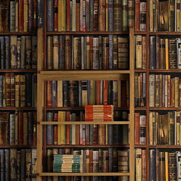 12 Great Closing Lines Of Books