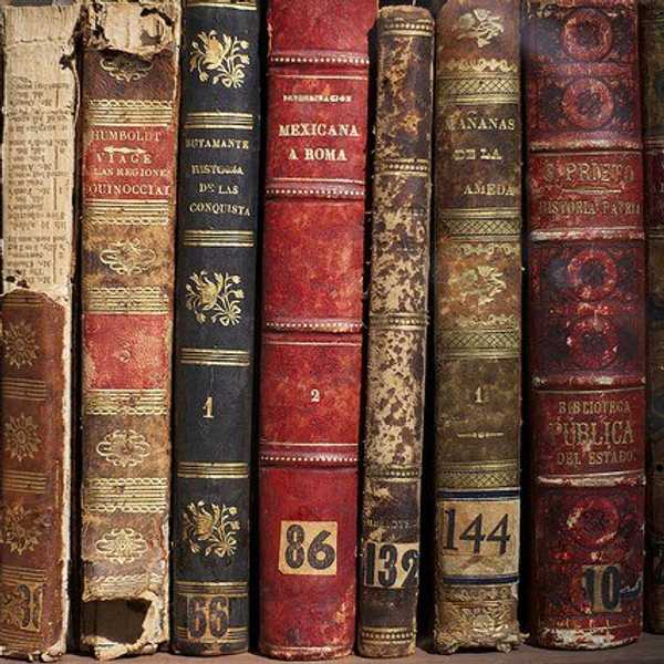 A Letter To My Favorite Book