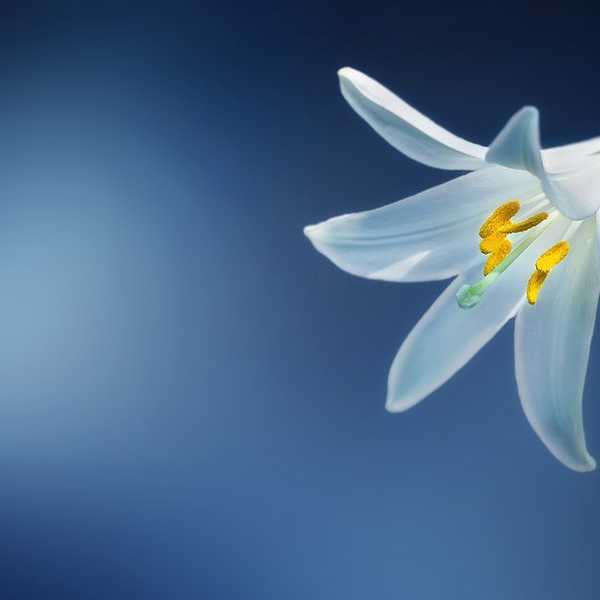 How To Find God In The Midst Of Fear