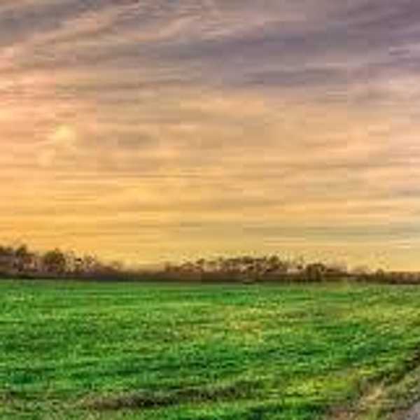 Are You Living, Or Simply Just Existing?