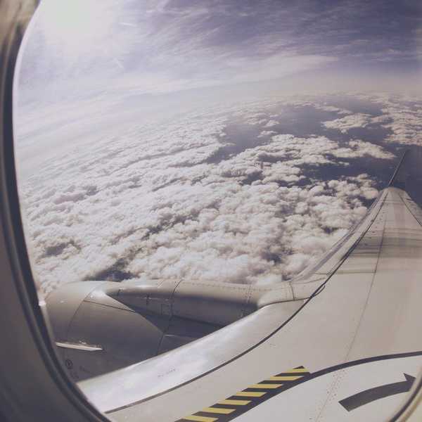 Studying Abroad And What They Say