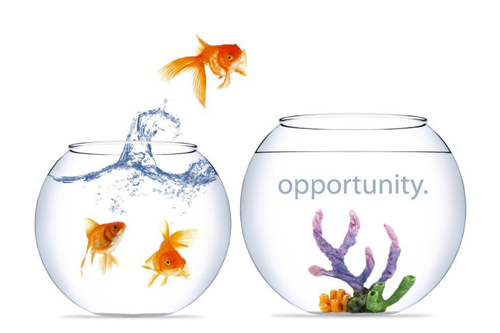 4 Lessons College Has Taught Me