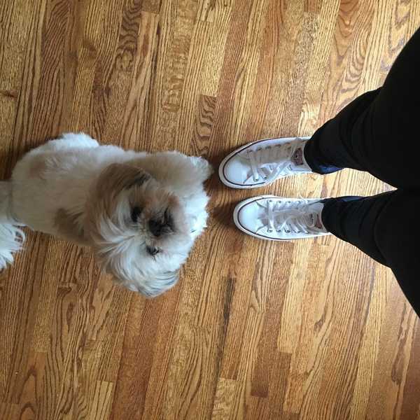 15 Reasons Why Your Dog Is Your Best Friend