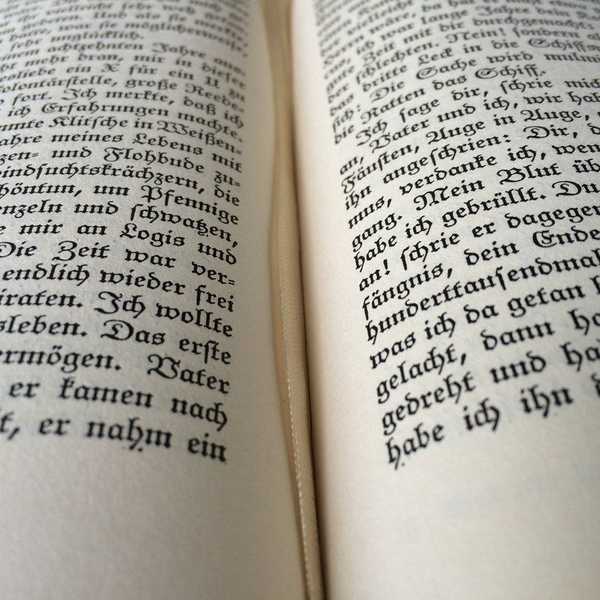 A Brief History Of Language