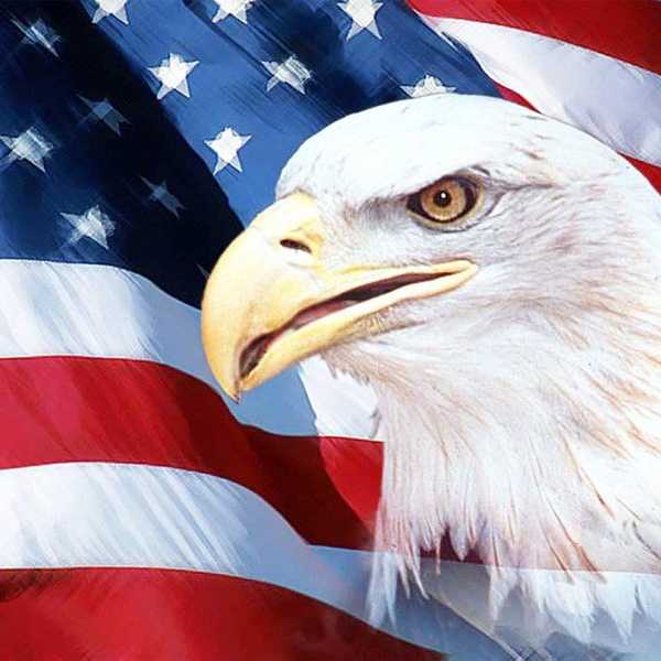 To My Fellow Americans