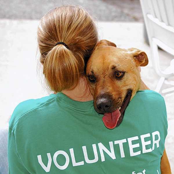 An Inside Look At What It's Like To Volunteer With Animals