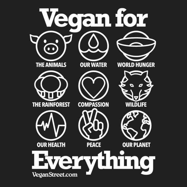 The Truth Of Our Animal Agriculture