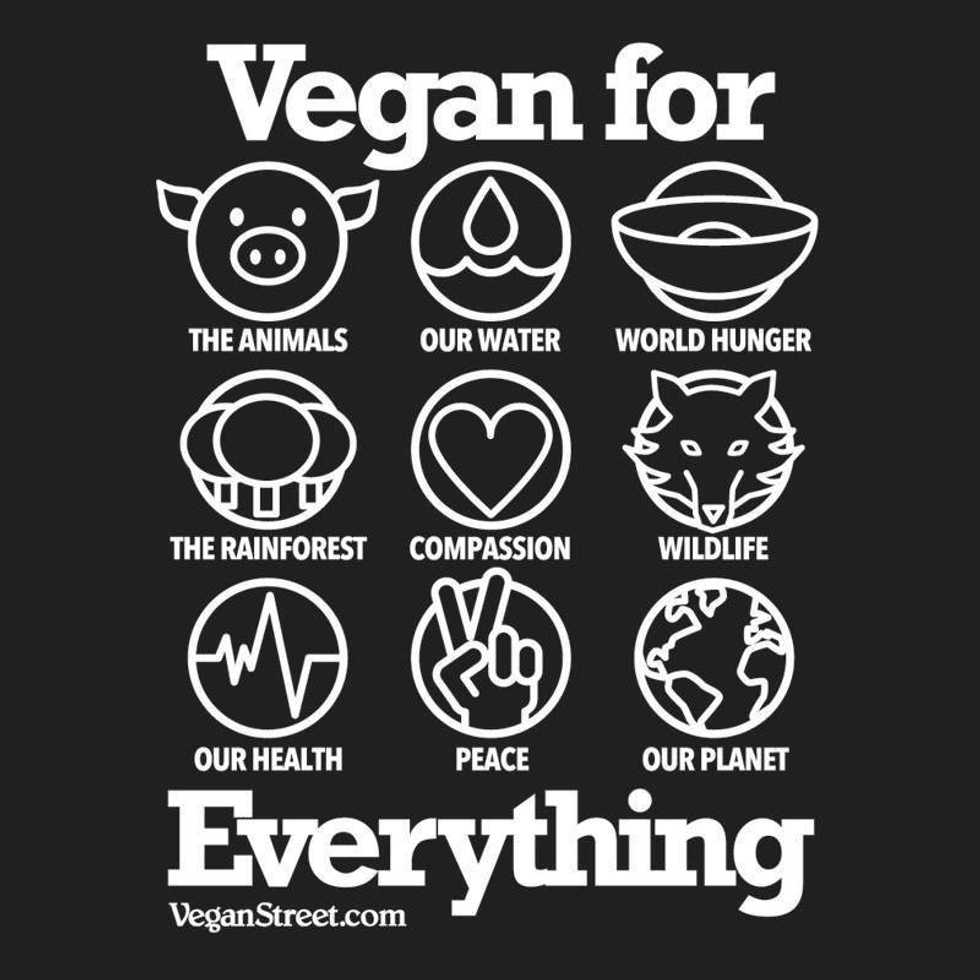 The Truth Of Our Animal Agriculture