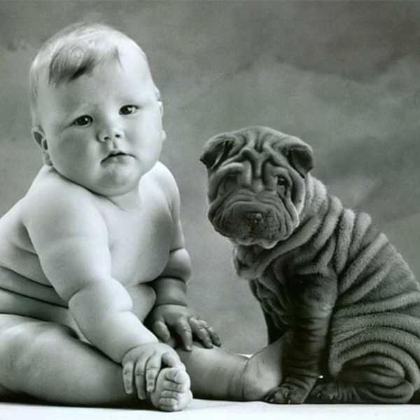 How Having A Dog Is Like Having A Child