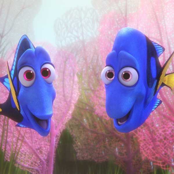 Finding Dory’s Depiction Of Special Needs Children