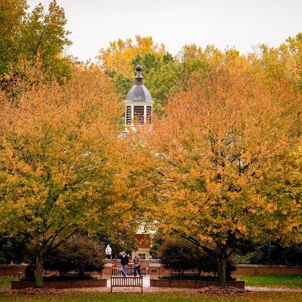 Why I Loved Living In Collins