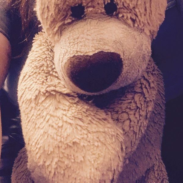 A Letter To My Teddy Bear