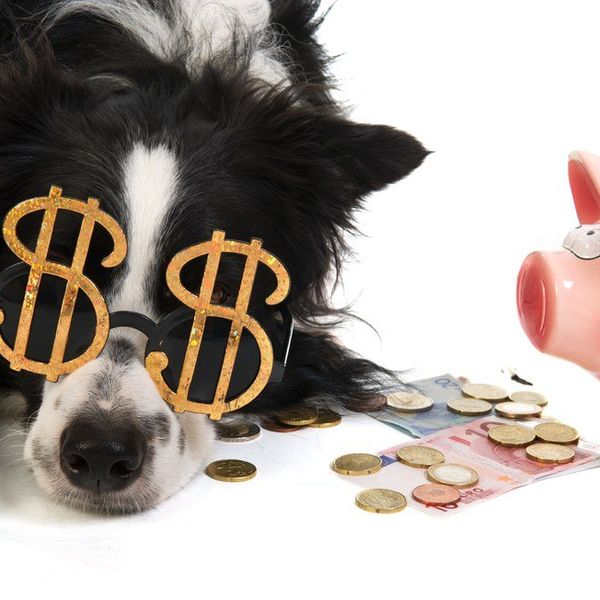 How To Earn Money Without Getting A Job