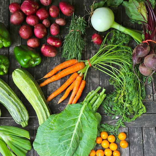 Community Shared Agriculture Is The New Wave