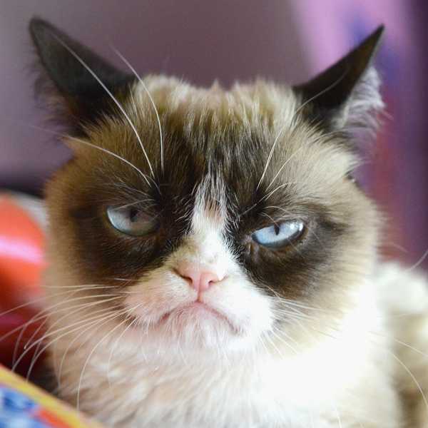 11 Signs You Are Not A Morning Person