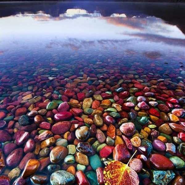 What Happens When You Don’t Have A Plan?