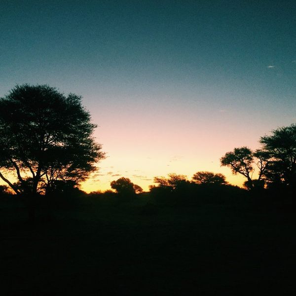 Put Yourself In The Way Of Beauty