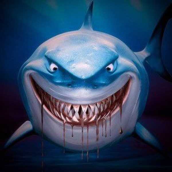 The Five Most Interesting Sharks