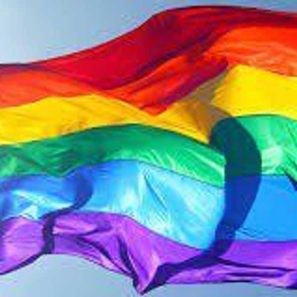 Why Did We Legalize Gay Marriage If It Goes Against Biblical Laws?