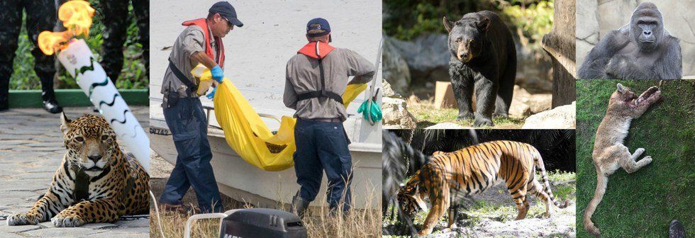 This Land Is Their Land