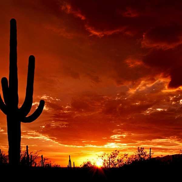 Top 5 Things You Probably Didn't Think Of To Do In Arizona