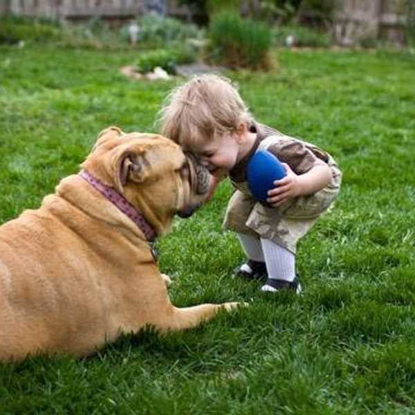 11 Life Lessons Dogs Teach Us About What Matters The Most