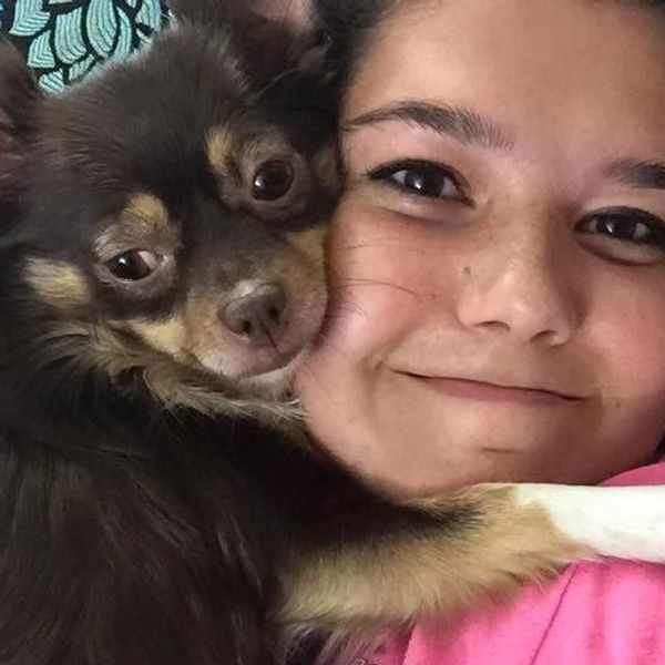 7 Reasons Dogs Make The Perfect College Companions