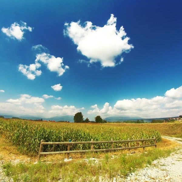 A Small Town From A City Girl's Perspective