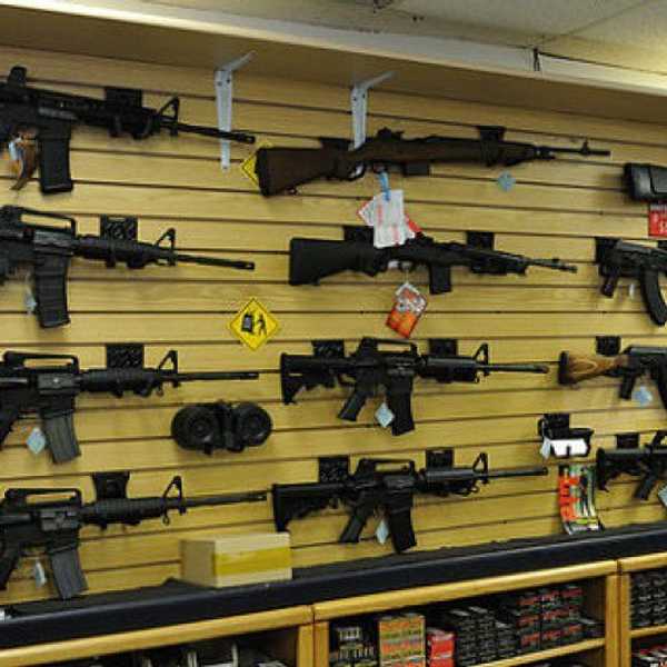 Tell Congress No More Assault Weapons