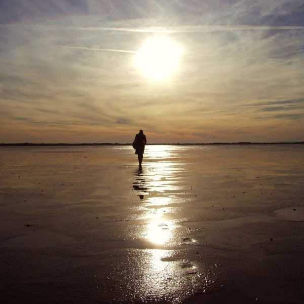 Lonely By Choice