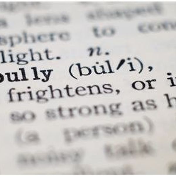 Just Another Bullying Story