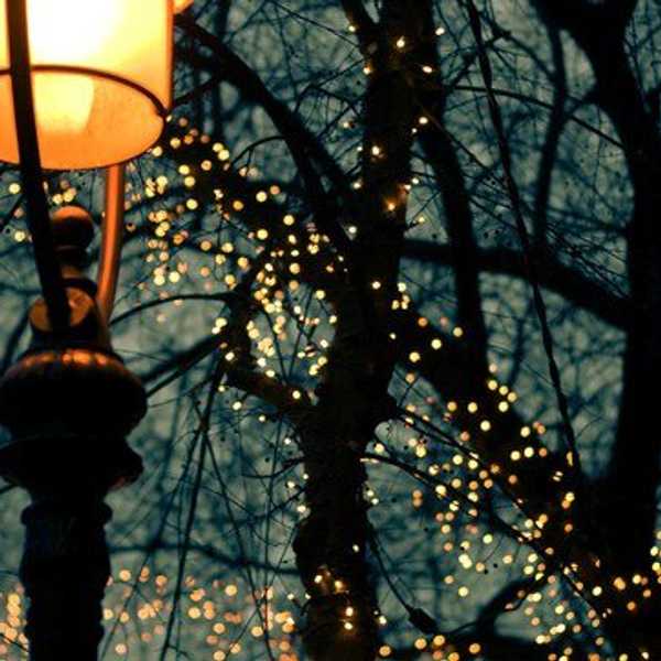 10 Things To Do On A Night Stroll