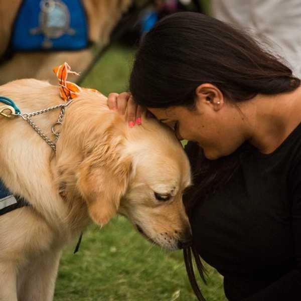 Happy Stories To Remind You That the World Isn't Totally Awful