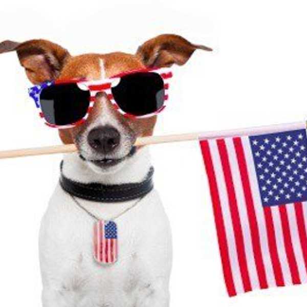 My Guide To Celebrating The Fourth Of July